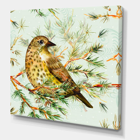 Small Cute Bird on Pine Branch - Animals Canvas Art