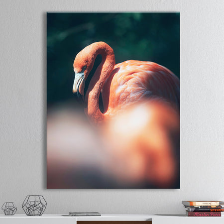 American flamingo in between vegetation sunlight. - Tropical Canvas Wall Art