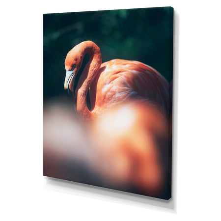 American flamingo in between vegetation sunlight. - Tropical Canvas Wall Art