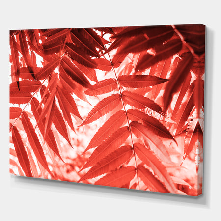 Palm leaves texture - Tropical Canvas Wall Art
