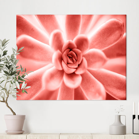 Succulent plant in Living coral - Tropical Canvas Wall Art