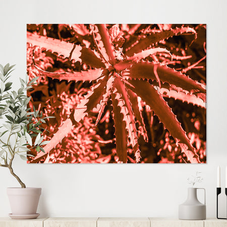 Succulent cactus plant part close up under the sunlight sky - Tropical Canvas Wall Art