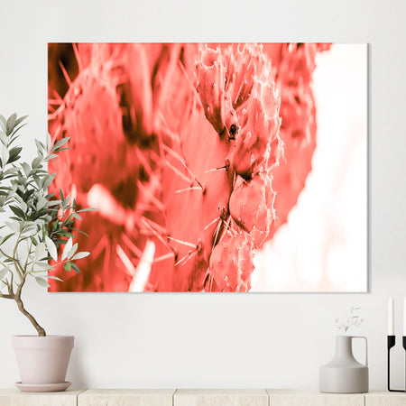 Succulent cactus plant toned in living coral color - Tropical Canvas Wall Art