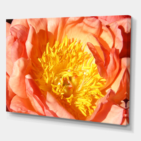Peony - Cottage Canvas Wall Art