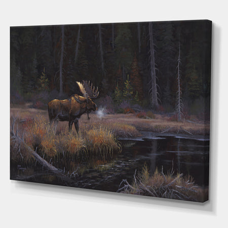 Evening Light - Traditional Gallery-wrapped Canvas