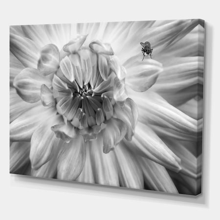 Monochrome Flower 78 - Cottage Canvas Wall Art