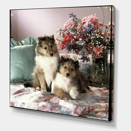Puppy Siblings - Traditional Canvas Art Print