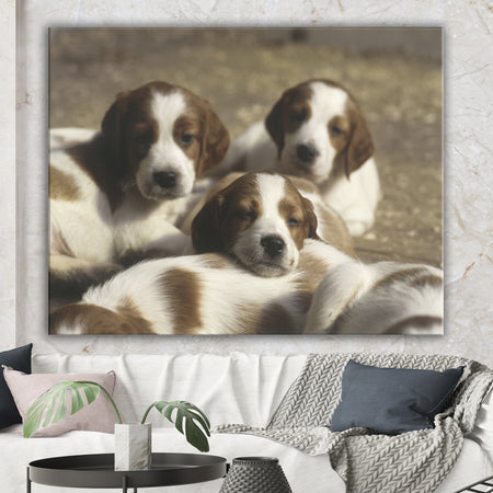 Three Sweet Little Puppies - Traditional Gallery-wrapped Canvas