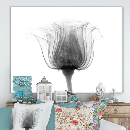 Rose ,Noma X-Ray - Cottage Canvas Wall Art