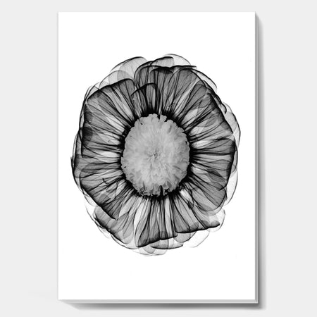 Zinnia Montage Black & White X-Ray - Cottage Canvas Art Print
