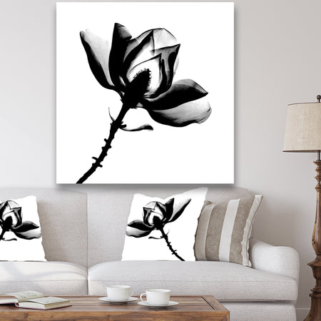 Magnolia X-Ray - Cottage Gallery-wrapped Canvas