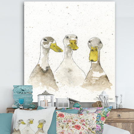 Three White Ducks - Farmhouse Canvas Artwork