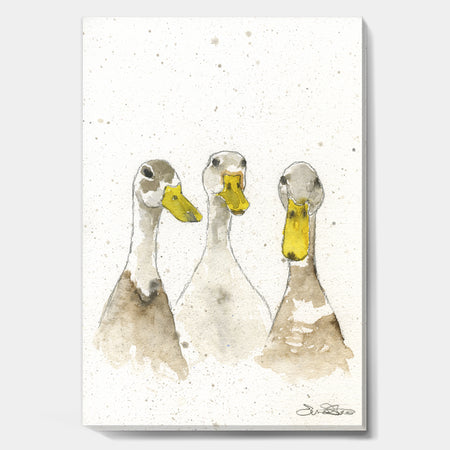 Three White Ducks - Farmhouse Canvas Artwork
