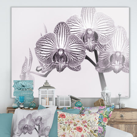Orchid-2017-33bw - Cottage Canvas Art Print