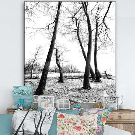 Group Of Winter - Cottage Gallery-wrapped Canvas