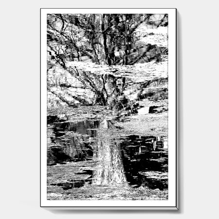Tree In Reflection And Algea - Cottage Premium Canvas Wall Art