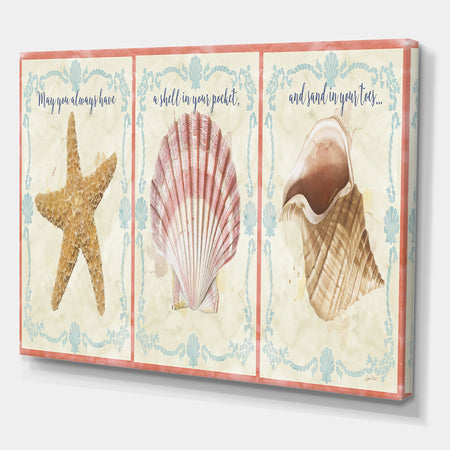 Sea Shells-E - Cottage Premium Canvas Wall Art