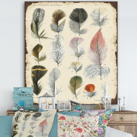 Old Style Feathers Catalogue - Cottage Canvas Wall Art