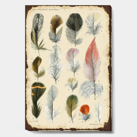 Old Style Feathers Catalogue - Cottage Canvas Wall Art