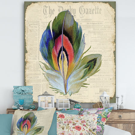 Colorful Elegant Feather On Old Style Newspaper II - Cottage Canvas Artwork