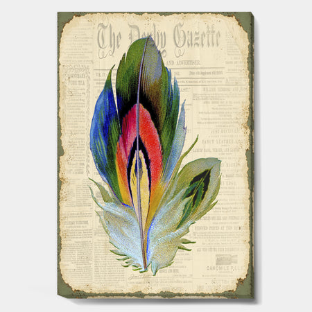 Colorful Elegant Feather On Old Style Newspaper II - Cottage Canvas Artwork