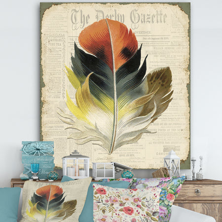 Colorful Elegant Feather On Old Style Newspaper III - Cottage Premium Canvas Wall Art