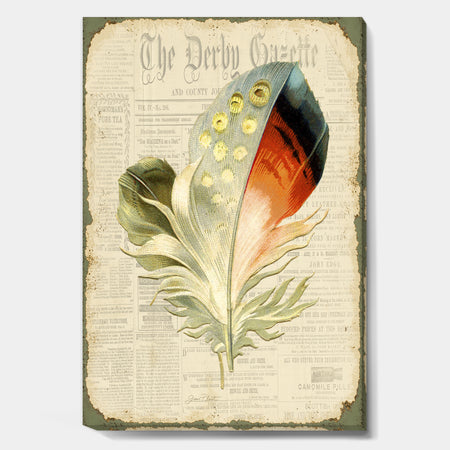 Colorful Elegant Feather On Old Style Newspaper IV - Cottage Canvas Wall Art