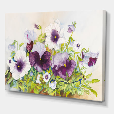 Early Pansies - Traditional Canvas Artwork