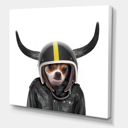 Little Dog With Attitude - Modern & Contemporary Canvas Wall Art