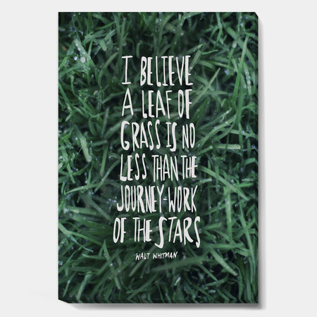 Leaf Of Grass - Cottage Gallery-wrapped Canvas