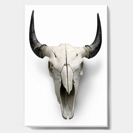 White Cow Skull With Black Horns - Farmhouse Canvas Wall Art