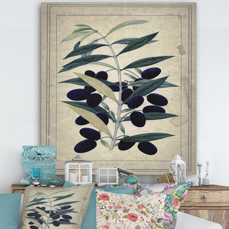 Black Olives On Branch - Cottage Canvas Wall Art