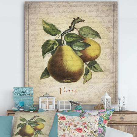 Pear Old Style Sketch II - Cottage Premium Canvas Wall Art