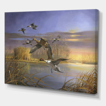 Pintail Magic - Lake House Gallery-wrapped Canvas