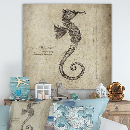 Seahorse Old Style Sketch - Nautical & Coastal Canvas Wall Art