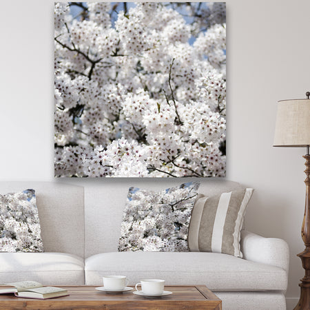 White Spring Blossom On Blue Sky - Cottage Canvas Wall Art