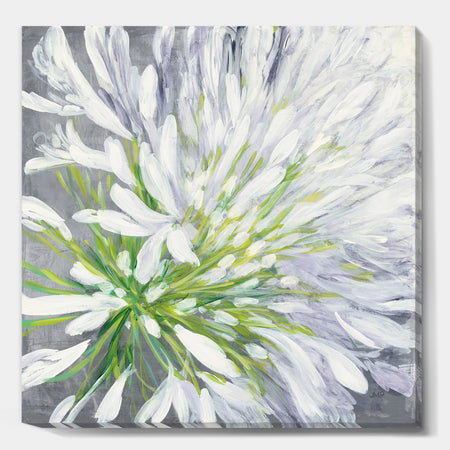 Flower Cleome Splash II - Traditional Floral Gallery-wrapped Canvas