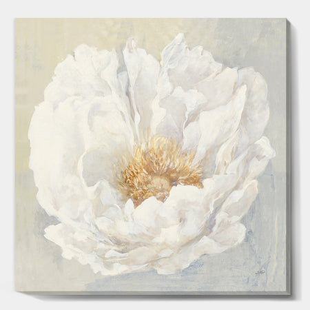 White Serene Peony - Cottage Canvas Artwork