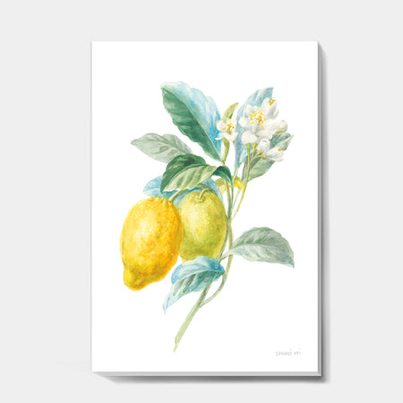 Floursack Lemon II - Cabin & Lodge Gallery-wrapped Canvas