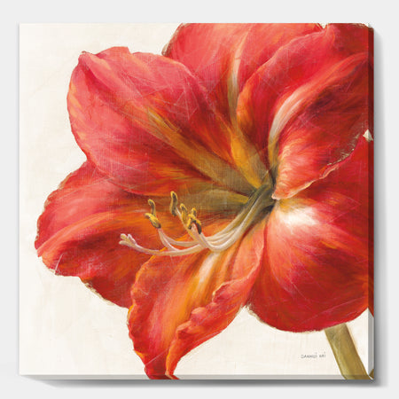 Vivid Red Amaryllis - Floral & Botanical Canvas Artwork