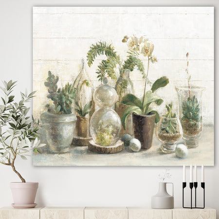 Greenhouse Orchids - Floral Cottage Canvas Artwork