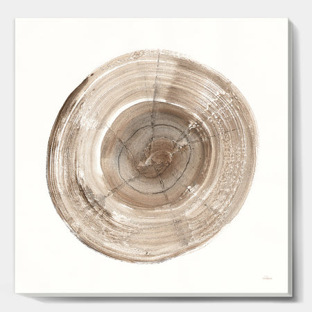 Circle natural elements II - Farmhouse Canvas Artwork