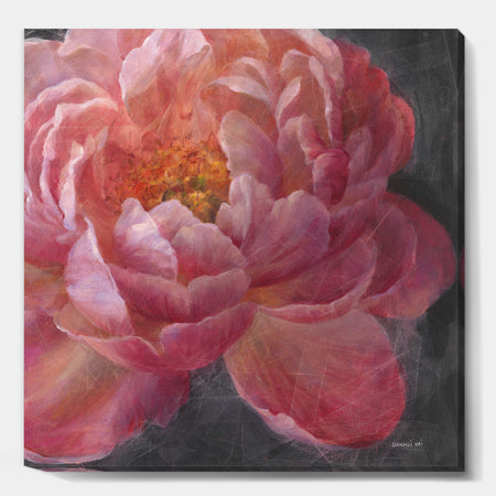 Vivid Pink Peonies I - Shabby Chic Gallery-wrapped Canvas