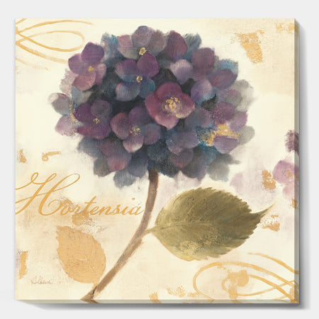 Abundant Hydrangea Flower I - Floral Cottage Gallery-wrapped Canvas