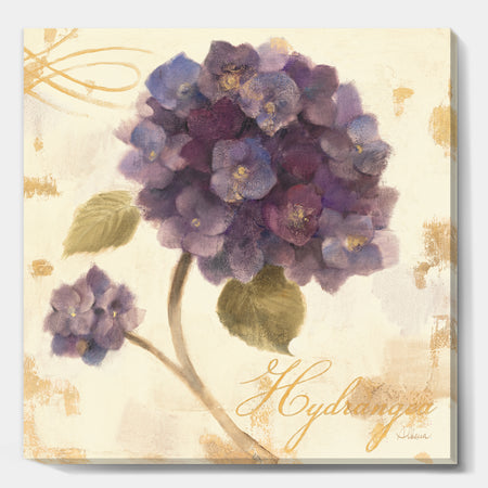 Abundant Hydrangea Flower II - Floral Cottage Canvas Artwork