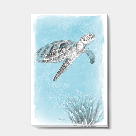 Coastal Sea Life I Turtle sketches - Nautical & Coastal Canvas Artwork