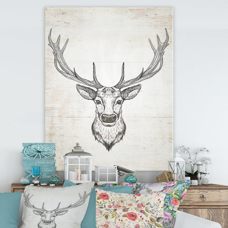 Deer Wild and Beautiful II - Wildlife Animal Canvas Art