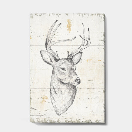 Deer Wild and Beautiful II - Wildlife Animal Canvas Art