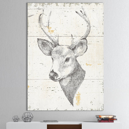 Deer Wild and Beautiful II - Wildlife Animal Premium Canvas Wall Art