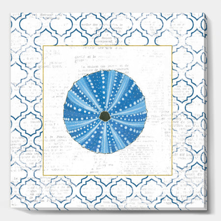 Blue Conch Shell On Blue Coastal Pattern - Nautical & Coastal Gallery-wrapped Canvas